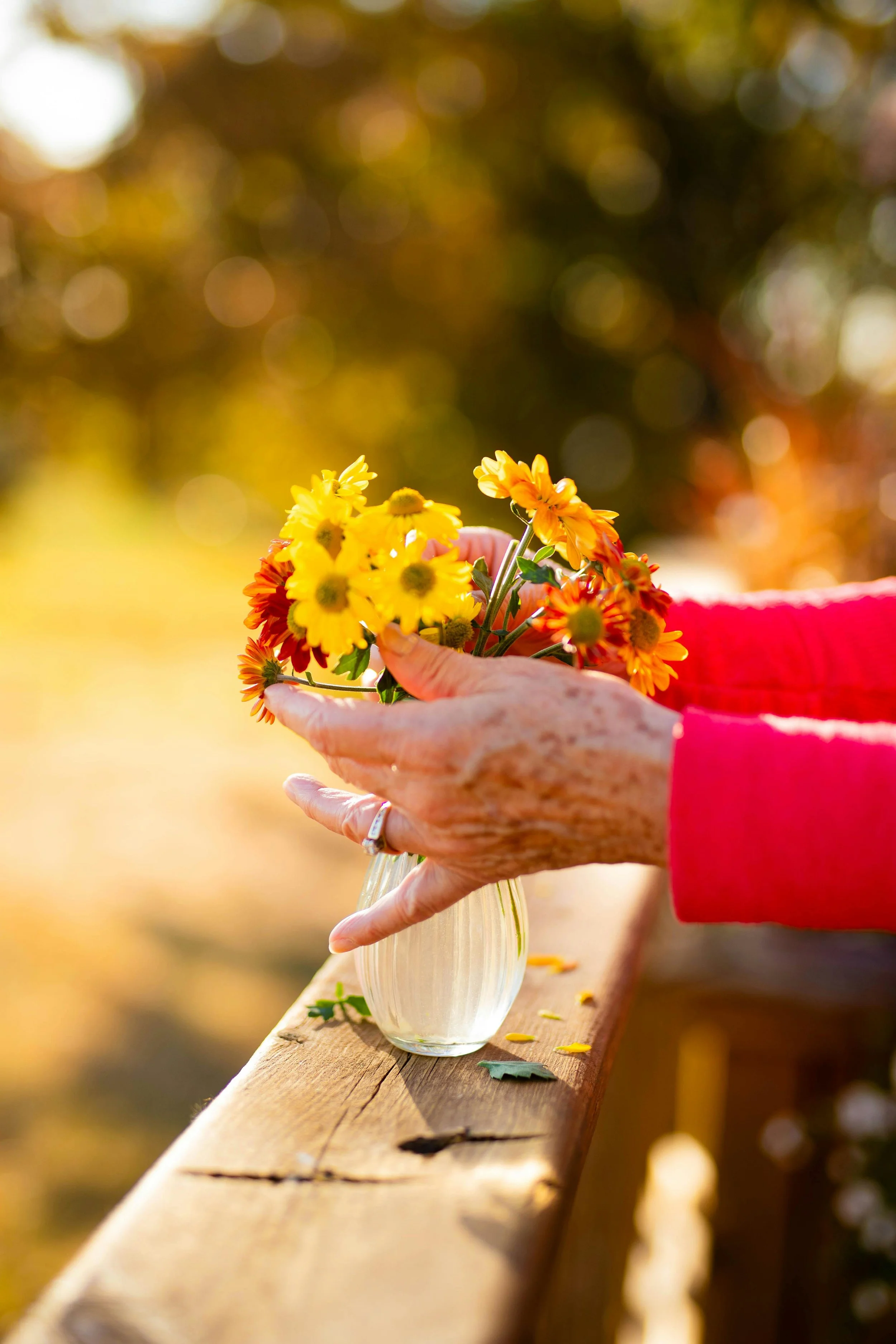 GPS Navigation for Caregivers — Time TBD